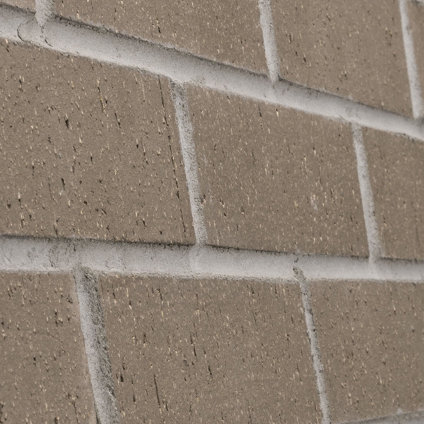 Brisbane - Thinbrick Singles