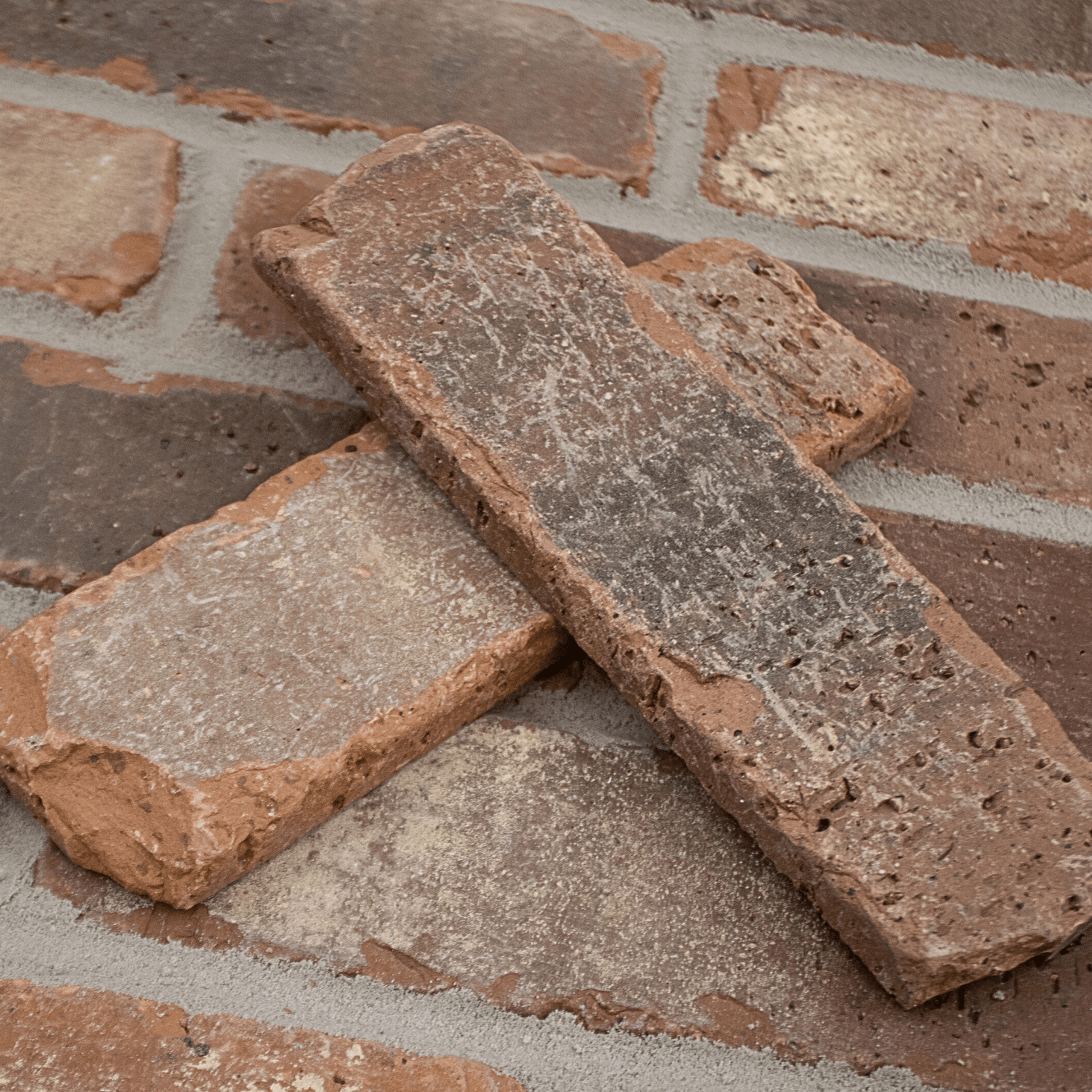 Citadel Thin Brick Sample Box – 12 Real Clay Bricks -