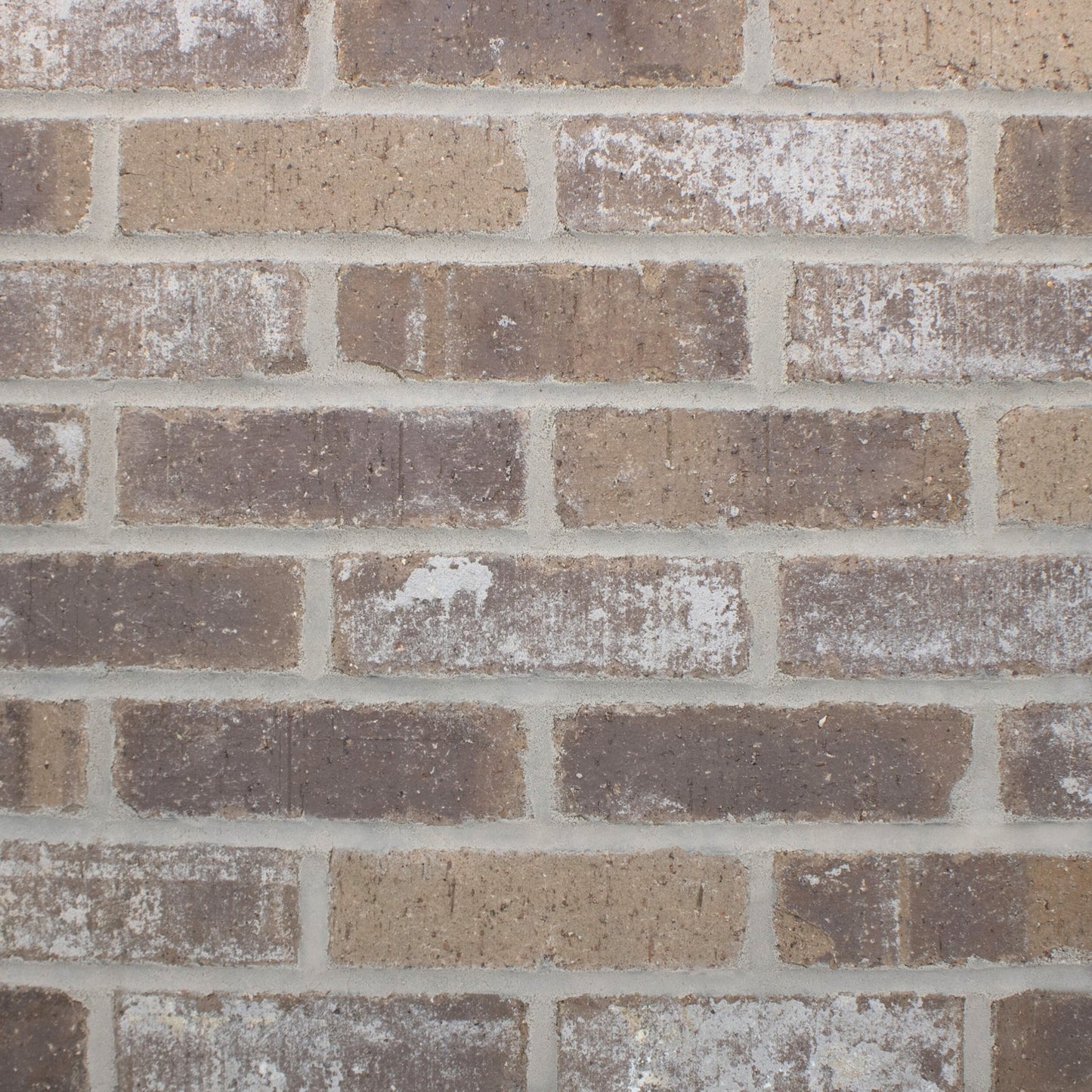 Mojave Thin Brick Sample Box – 12 Real Clay Bricks -