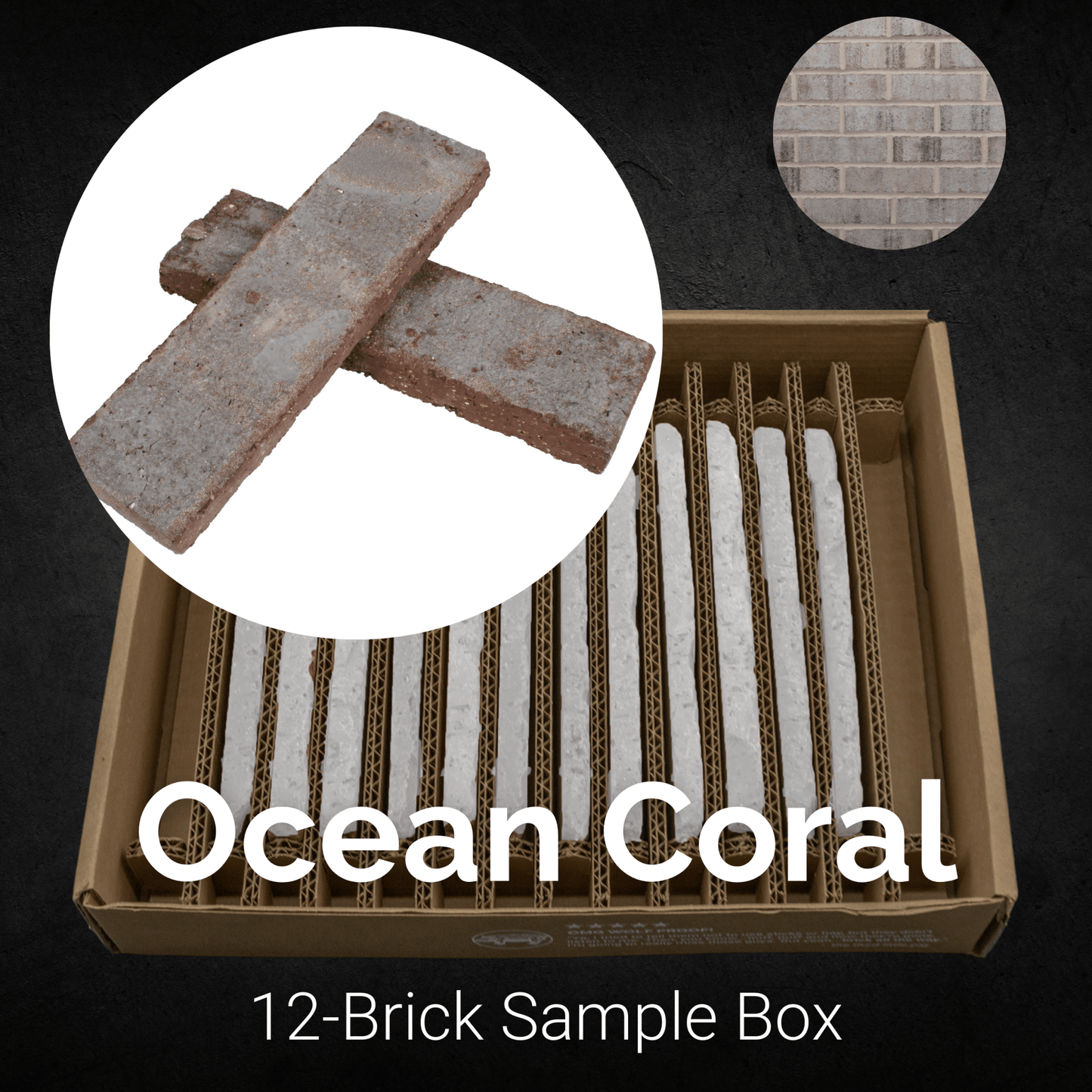 Ocean Coral Thin Brick Sample Box – 12 Real Clay Bricks -