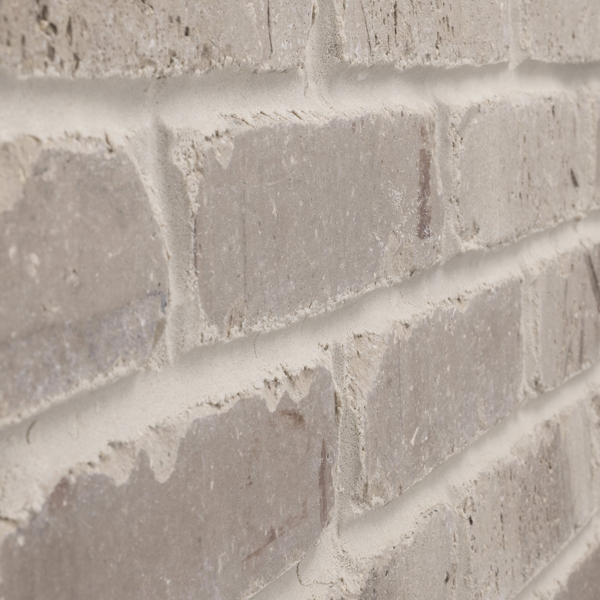 Olympus Thin Brick Sample Box – 12 Real Clay Bricks -