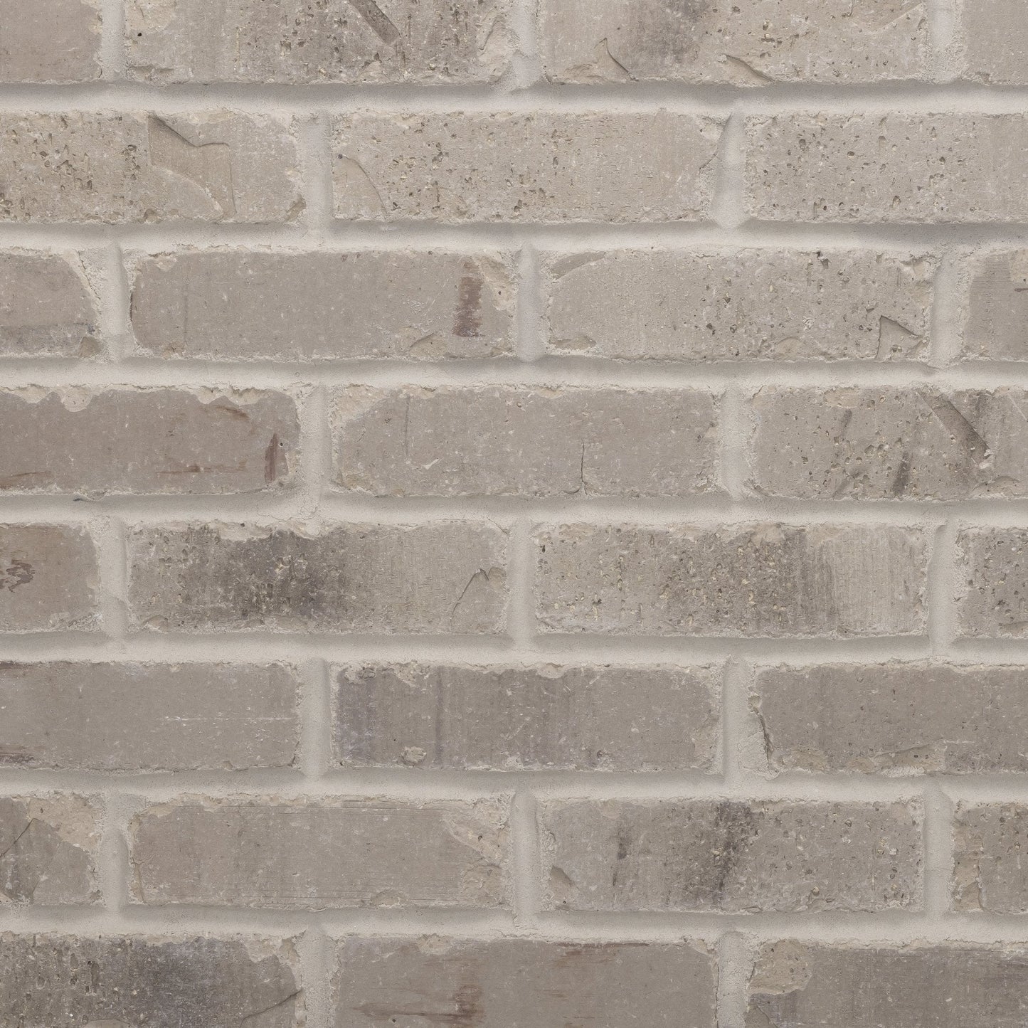 Olympus Thin Brick Sample Box – 12 Real Clay Bricks -