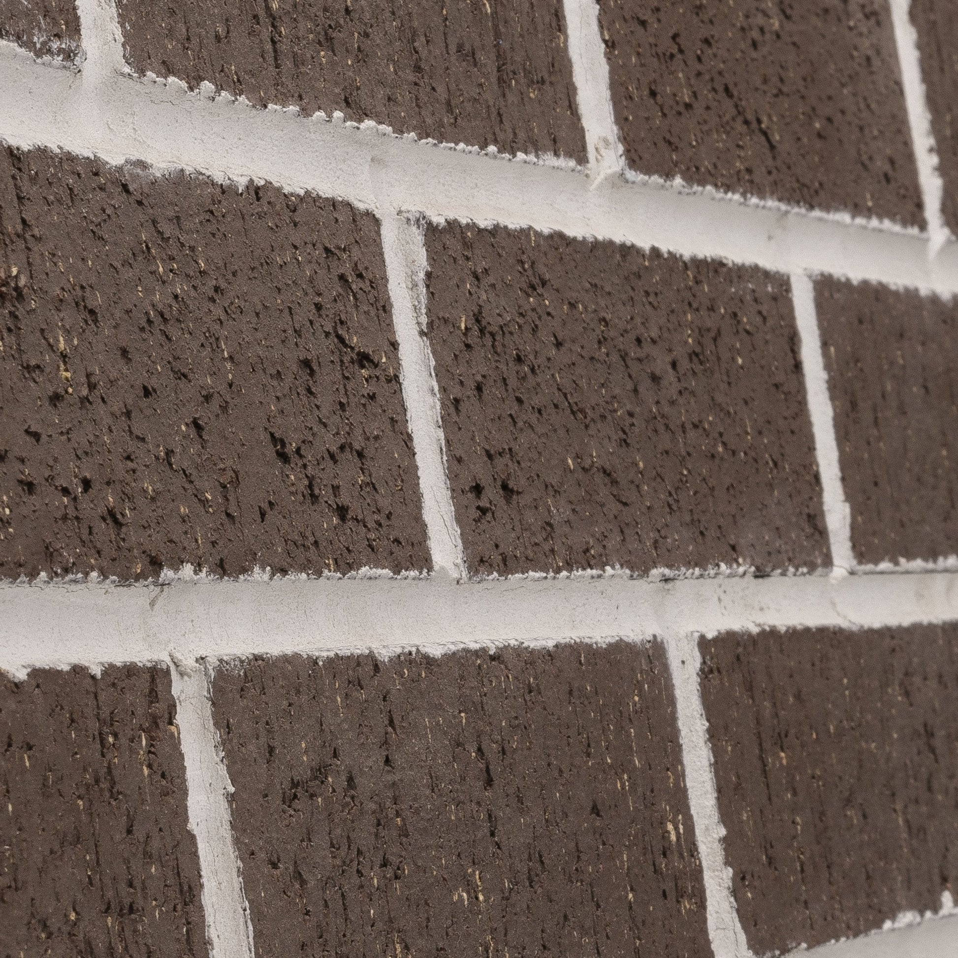 Toronto - Brickwebb Sheets