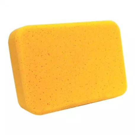 All - Purpose Sponge - 