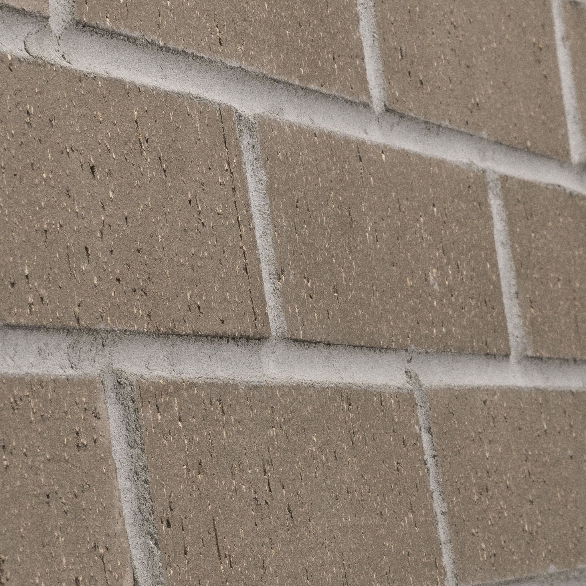 Brisbane - Thinbrick Singles