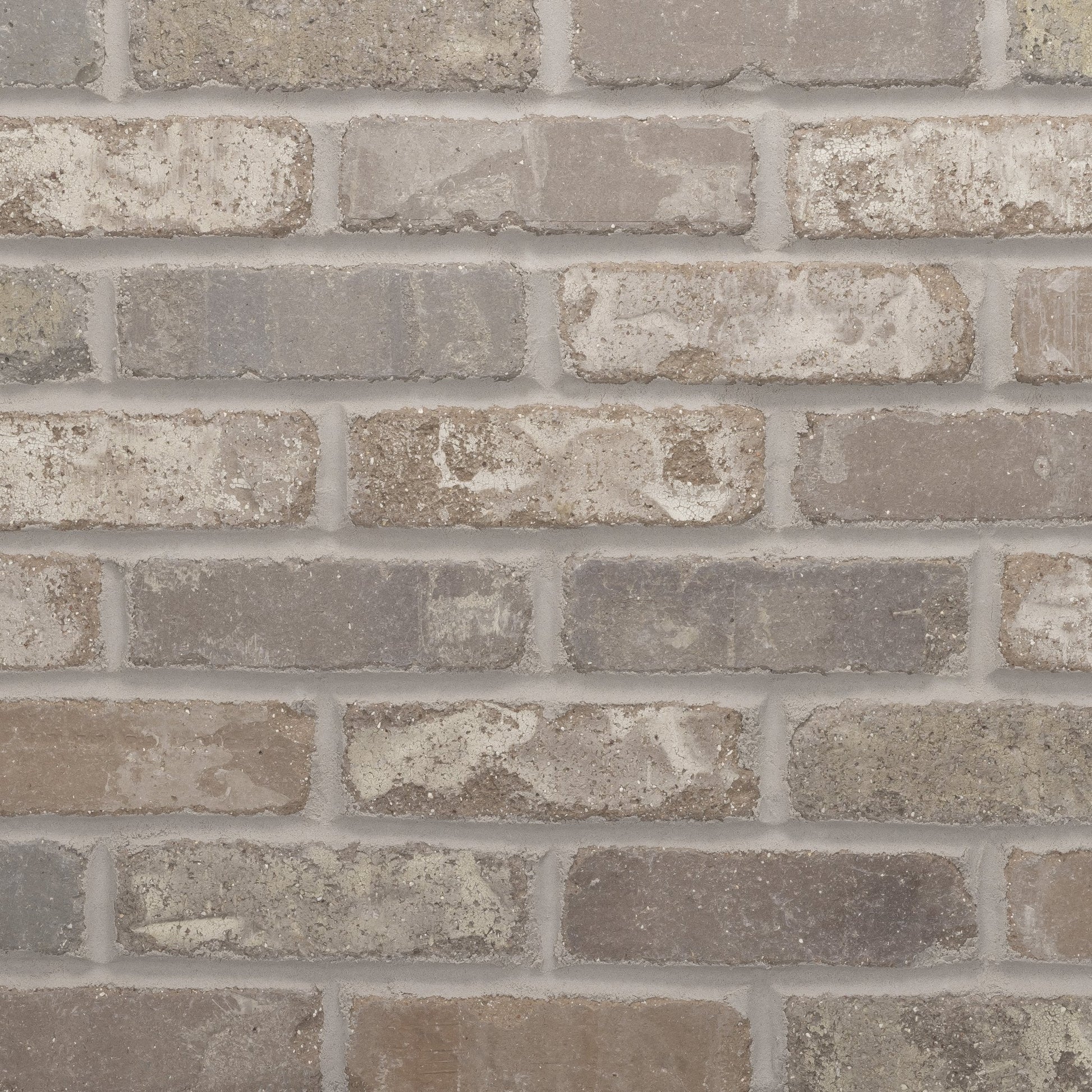 Rushmore - Brickwebb Sheets